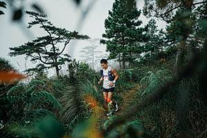 BIB: 
                            <button type="button" onclick="openModal(25258493)" class="btn btn-primary btn-sm float-right btn-popup" data-toggle="modal" data-target=".modal-high-quality">
                        <i class="fas fa-shopping-cart"></i> Add to Cart
                    </button>
                                            <button type="button" onclick="isThisMe(25258493, true)" class="btn btn-success btn-sm float-right btn-popup btn-isme hidden" data-toggle="tooltip" data-placement="bottom" title="นี่คือรูปของคุณใช่ไหม คลิกที่นี่เพื่อเอาเข้าอัลบั้ม">
                        <i class="fas fa-plus"></i> Add to album
                    </button>
                    <button type="button" onclick="isThisMe(25258493, false)" class="btn btn-warning btn-sm float-right btn-popup btn-isnotme hidden">
                        <i class="fas fa-ban"></i> Remove from album
                    </button>